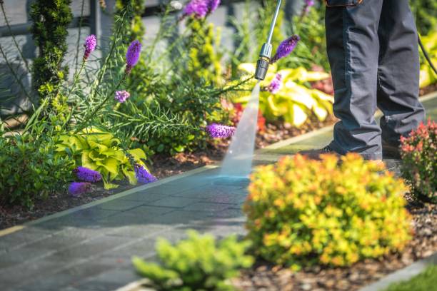 Best Roof Washing  in Glendale, CA