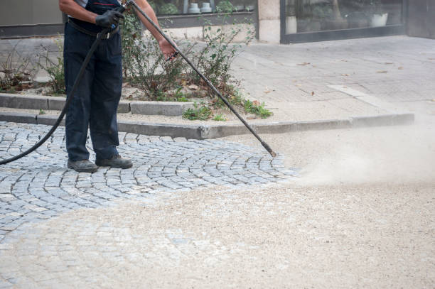 Best Pre-Holiday Cleaning  in Glendale, CA